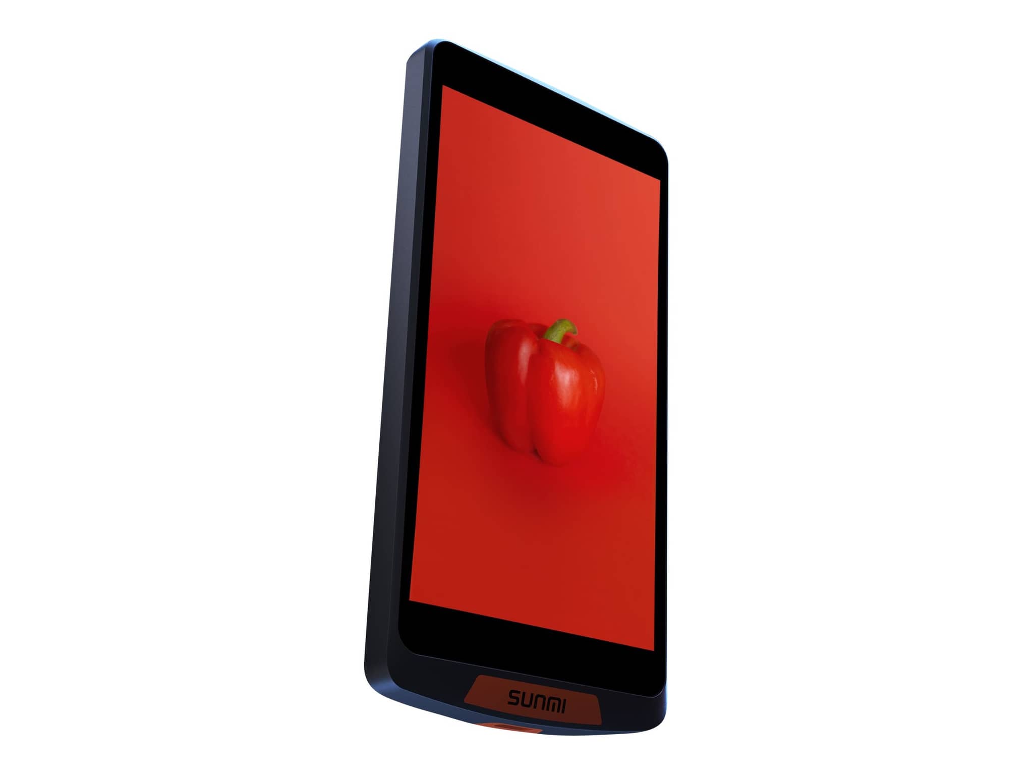 MOBILE TERMINALS SUNMI M2 P08020008