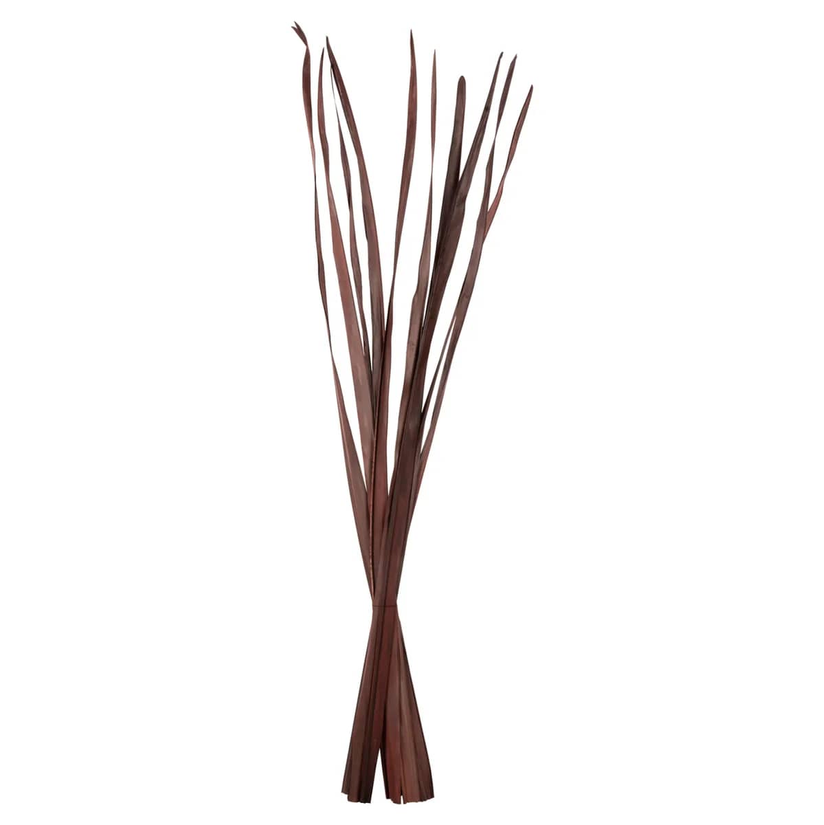 DECORATIVE DRIED SWORD LEAF BOUQUET HM7965 10PCS BROWN 120Hcm.