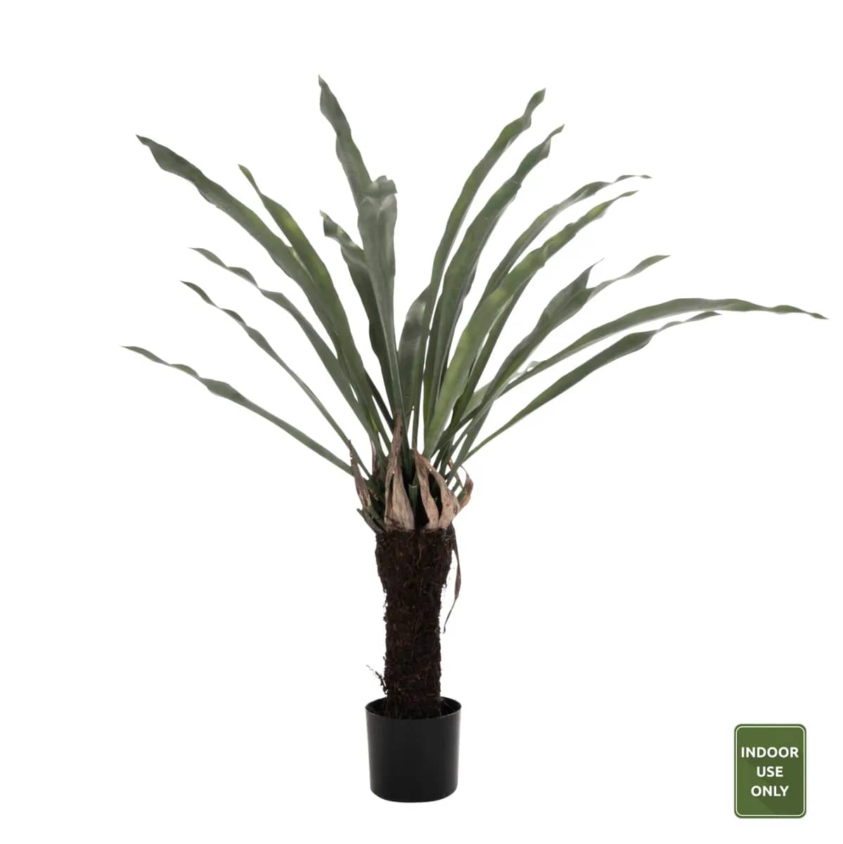 Bimë Dekorative Sintetike HM7975 – Asplenium Prolongatum (Fren) në Enkas