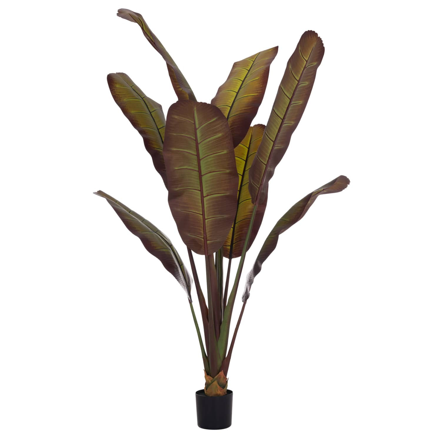 Bimë Dekorative Sintetike në Enkas HM4740 – Banane Japoneze 85x75x225H cm
