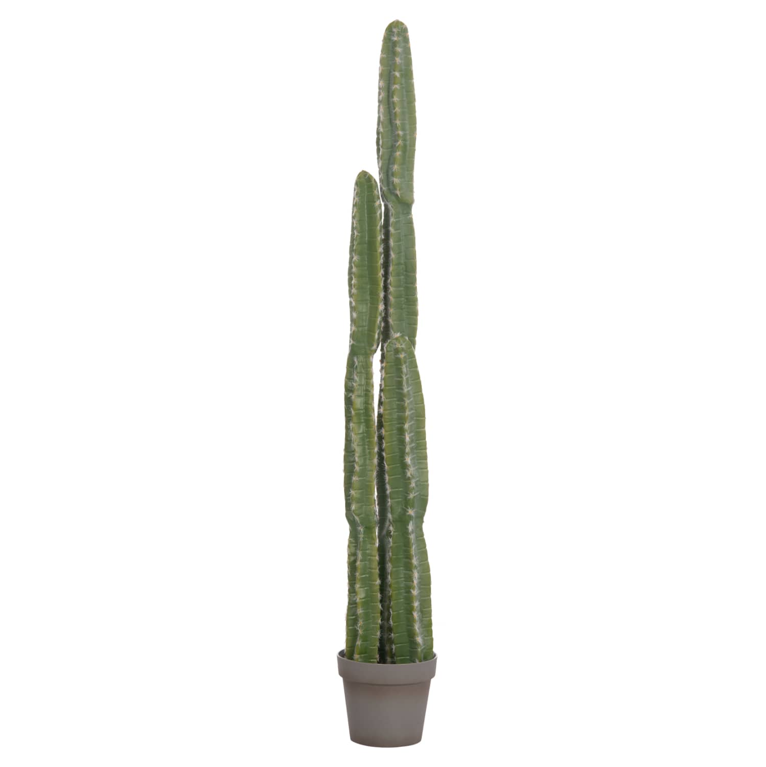BIMË DEKORATIVE SINTETIKE NË TAVE HM4741 KAKTUS Φ19.5x141H cm