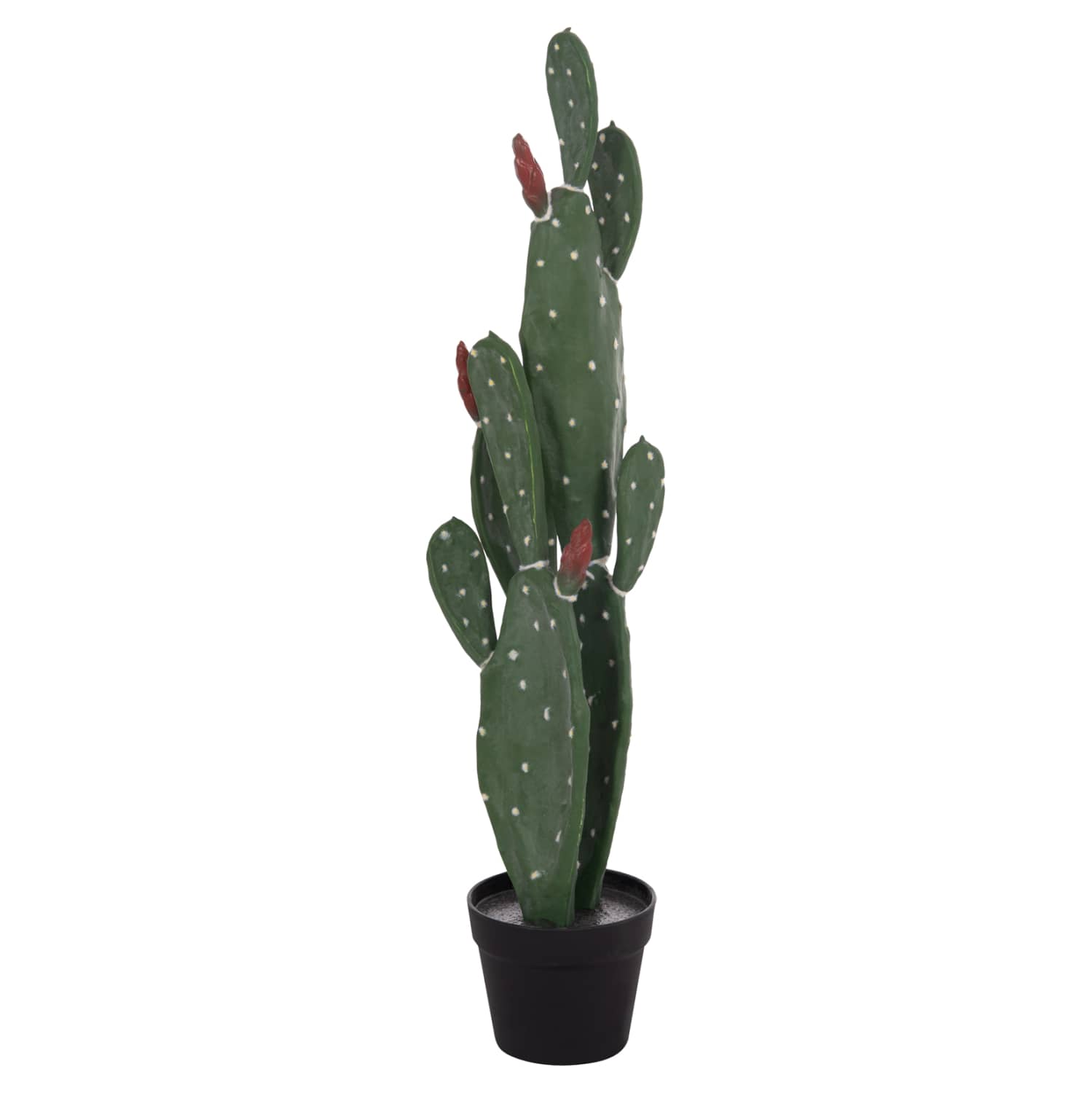Bimë Dekorative Sintetike në Enkas HM4748 – Kaktus 16x20x85H cm