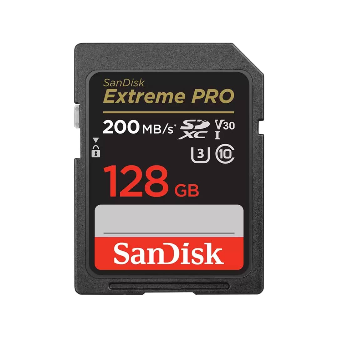 KARTE MEMORIE SANDISK EX.PRO SDSDXXD-128G-GN4IN EX.PRO 128GB 200MB
