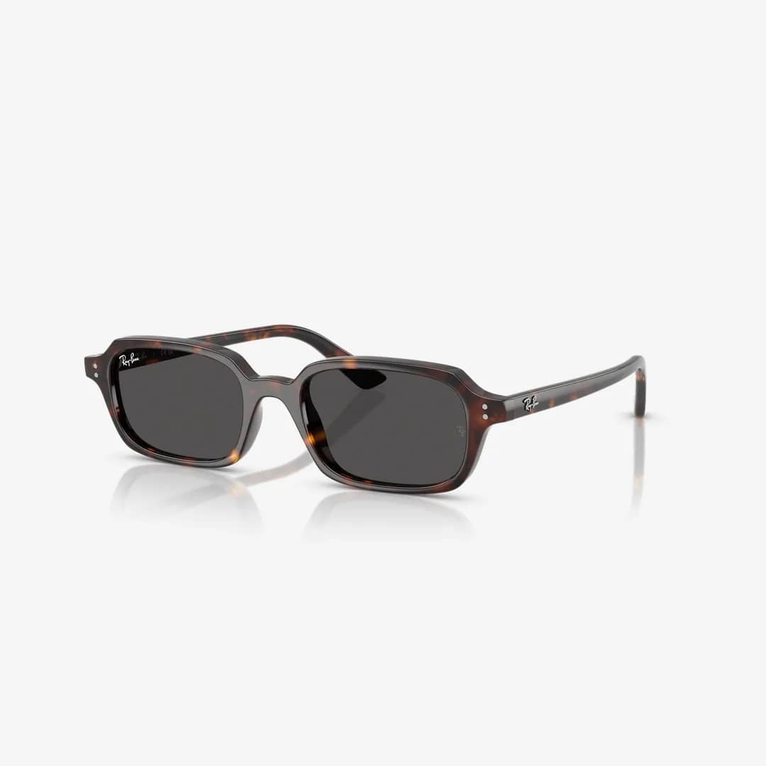Syze dielli Ray-Ban ZURI BIO-BASED RB4455 135987 49mm